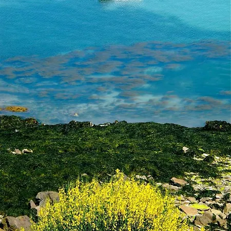 Le Logis Du Roc 3* Granville