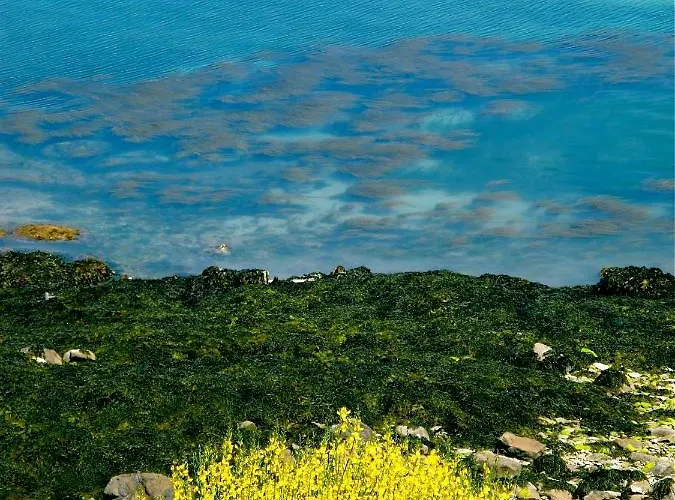 Le Logis Du Roc 3* Granville